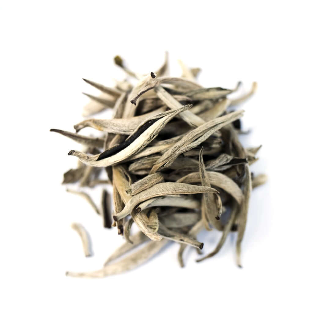 Close up of Silver Needles loose leaf white tea from Very Craftea